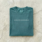 Blue Spruce Comfort Colors tee folded flat on a concrete background reading "spicy lit connoisseur" in a minimal typewriter font.