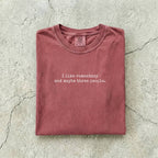 Brick Comfort Colors tee folded flat reading "I like romantasy and maybe three people." in a typewriter font.