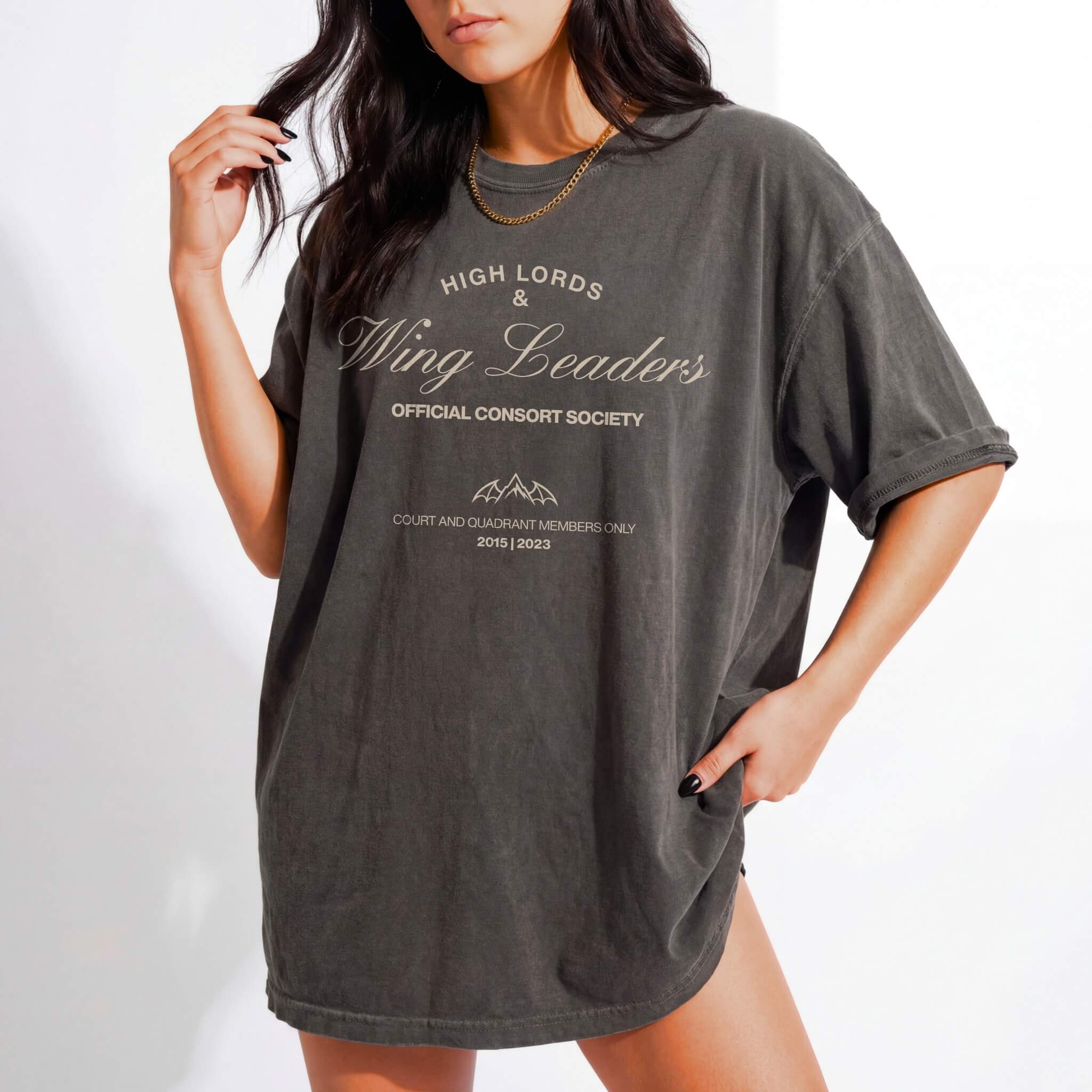 High Lords & Wing Leaders Tee in Pepper – vintage-style Comfort Colors romantasy graphic tee for fantasy readers
